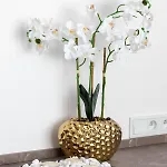 Apart-hotel Jantaris Seaview By Renters Mielno (Koszalin)