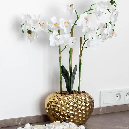 Lejlighedshotel Jantaris Seaview By Renters Mielno (Koszalin)